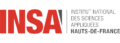 Logo INSA